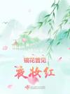 汤姆费尔顿：心之所向
